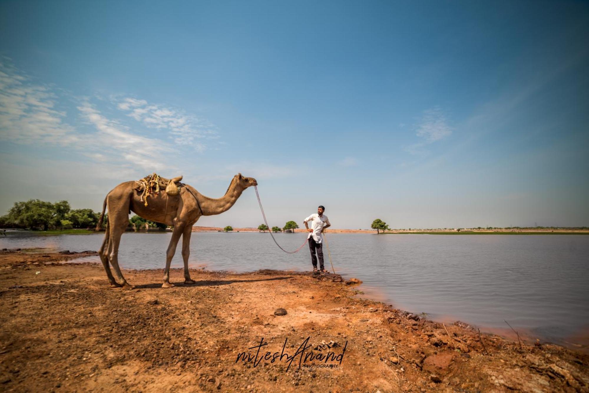 Hotel Vasudev Niwas Jaisalmer Ngoại thất bức ảnh